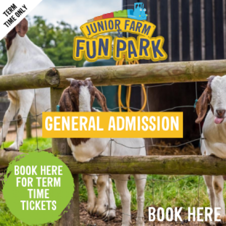 Junior Farm & Fun Park - General Admission